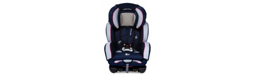 5. For the car